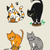 Myocat Market Postcard (Random)