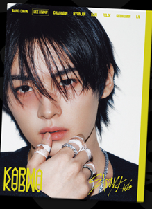 Stray Kids - 4th Full Album - [KARMA] (ACCORDION VER.)